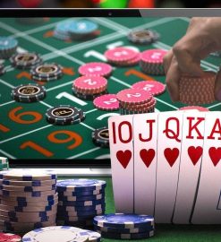 The Ultimate Guide to Choosing an Online Casino