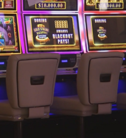 Mobile Friendly Options Transforming Online Lottery Betting for On-the-Go Users